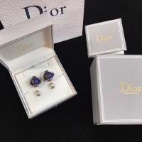 Pretty Style Dior Earrings CE4894