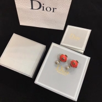 Discount Dior Earrings CE4895