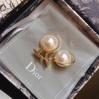 Best Product Dior Earrings CE4896