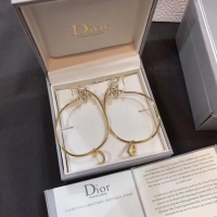 Low Price Dior Earrings CE5012