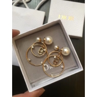 Low Price Dior Earrings CE5013