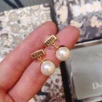 Best Price Dior Earrings CE5018