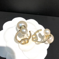 AAAAA Dior Earrings CE5025