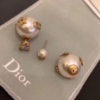 Perfect Dior Earrings CE5134