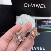 Popular Style Chanel Earrings CE4947