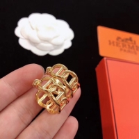 Stylish Hermes Earrings CE5220