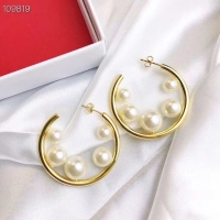 Luxury Classic Celine Earrings CE5036