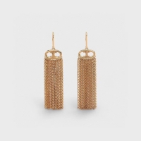 Feminine Celine Earrings CE5151