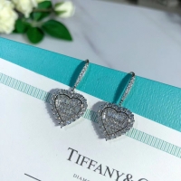 Luxury TIFFANY Earrings CE5150