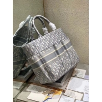 Luxury DIOR Beach Bag CANVAS C0175 GREY