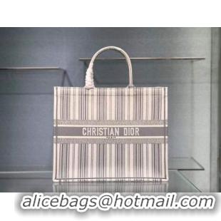 Best Grade Dior Book Tote Bag In Striped Canvas CD500852