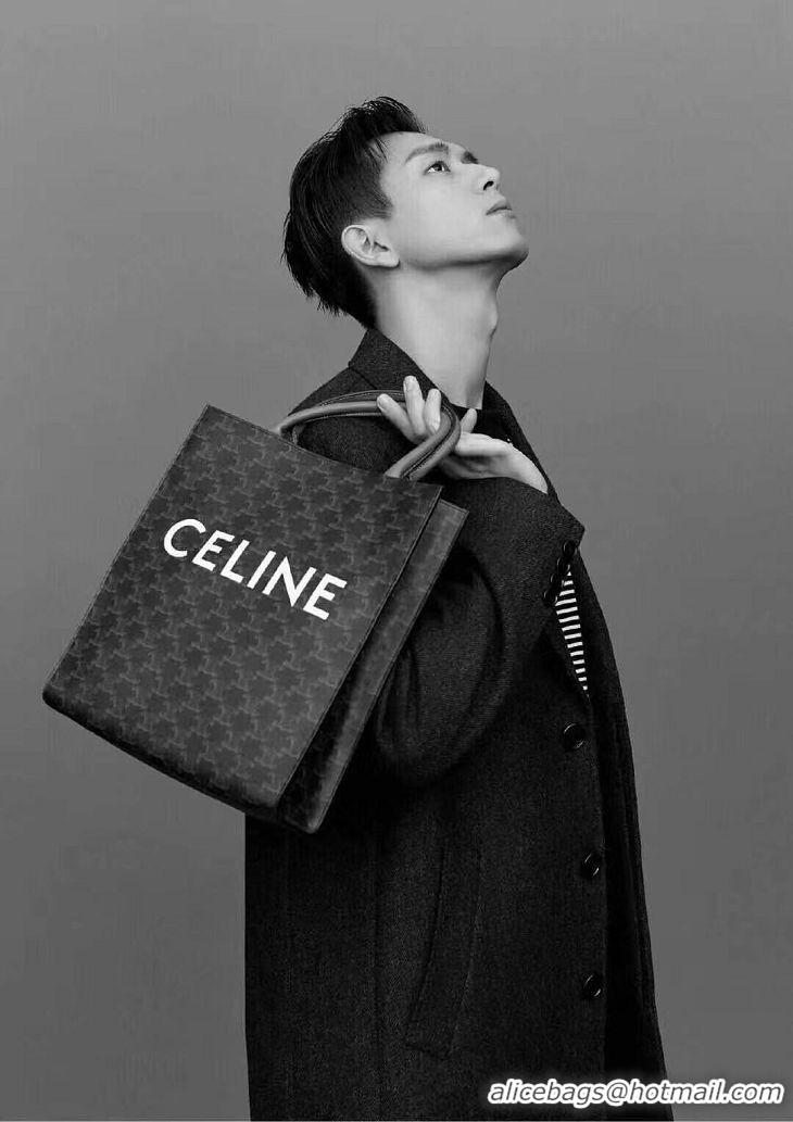 Grade Quality Celine TEEN TRIOMPHE BAG IN TRIOMPHE CANVAS AND CALFSKIN CL91542 BLACK