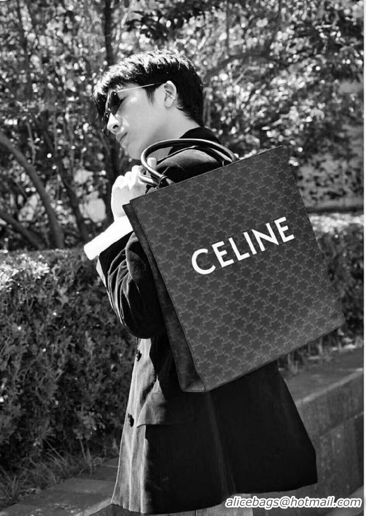 Grade Quality Celine TEEN TRIOMPHE BAG IN TRIOMPHE CANVAS AND CALFSKIN CL91542 BLACK