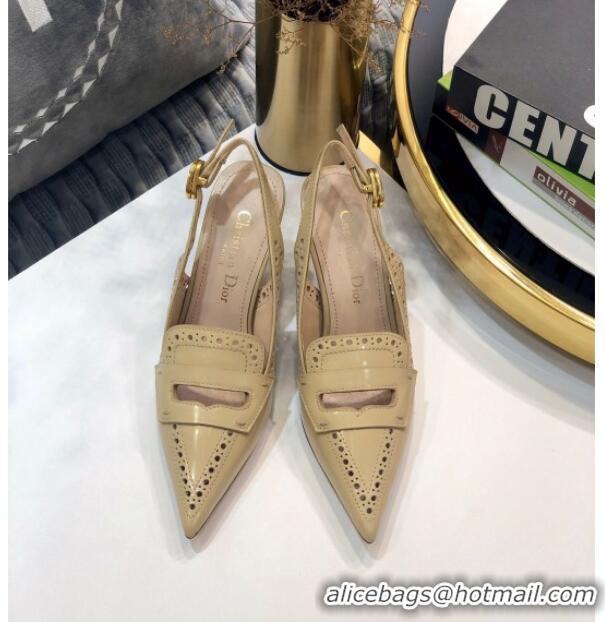 Classic Hot Dior Boy-D Perforated Calfskin CD Slingback Pumps 80mm Heel 080514 Nude 2020