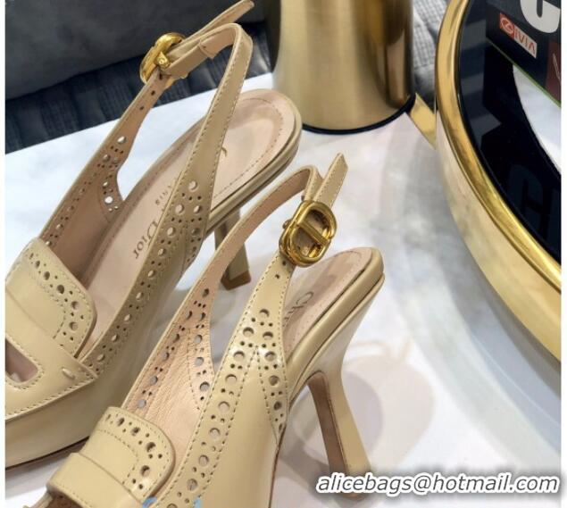 Classic Hot Dior Boy-D Perforated Calfskin CD Slingback Pumps 80mm Heel 080514 Nude 2020