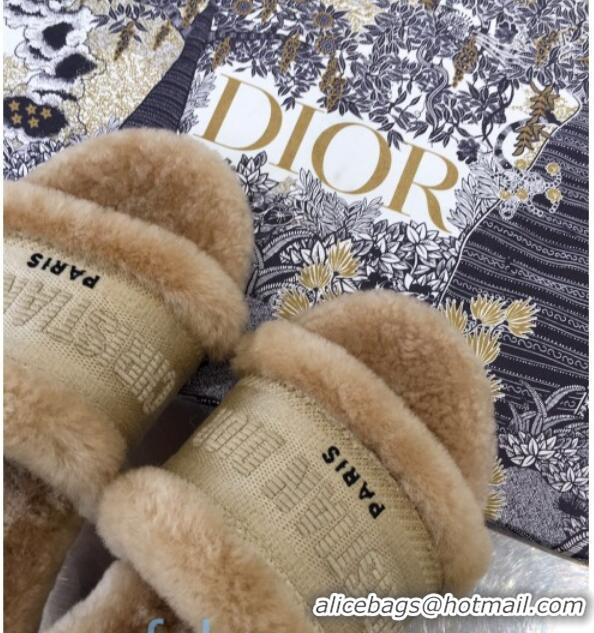 Best Grade Dior Wool Flat Slide Sandal with Embroidered Logo 00955 Light Brown 2020