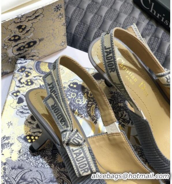 Grade Dior J'Adior Slingback Pumps 65mm in Metallic Thread Embroidered Cotton 92524 Grey 2020