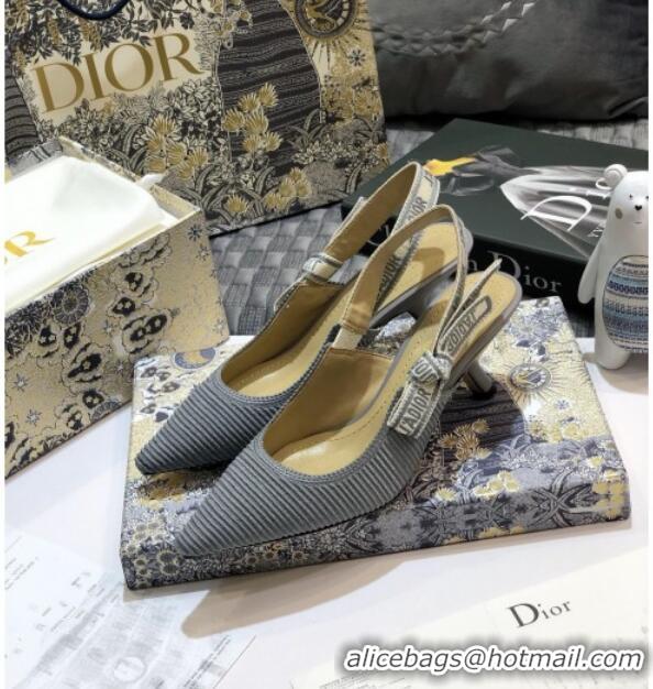 Grade Dior J'Adior Slingback Pumps 65mm in Metallic Thread Embroidered Cotton 92524 Grey 2020