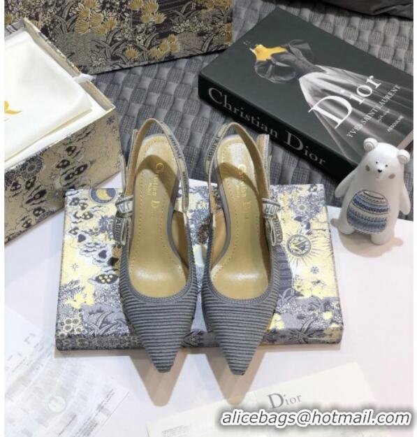 Grade Dior J'Adior Slingback Pumps 65mm in Metallic Thread Embroidered Cotton 92524 Grey 2020