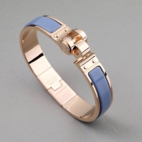 New Fashion Hermes Bracelet HM6950 Blue