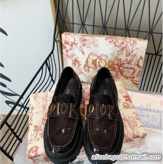 Best Price Dior x Shawn Explorer Platform Loafers in Crocodile Embossed Leather Dark Brown 02169