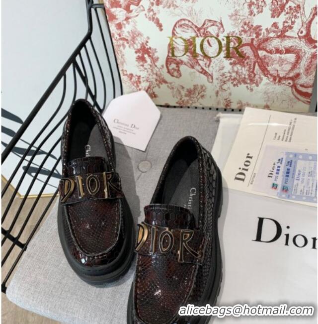 Best Price Dior x Shawn Explorer Platform Loafers in Crocodile Embossed Leather Dark Brown 02169