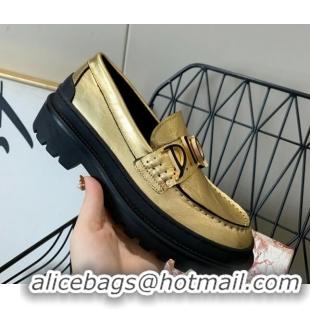 Low Price Dior x Shawn Explorer Platform Loafers in Gold Metallic 02172