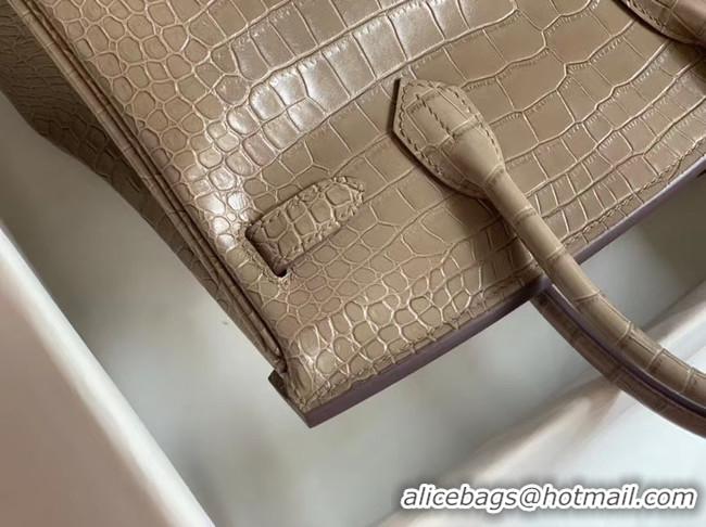 Charming Hermes Birkin Bag Original Leather crocodile HBK35 grey