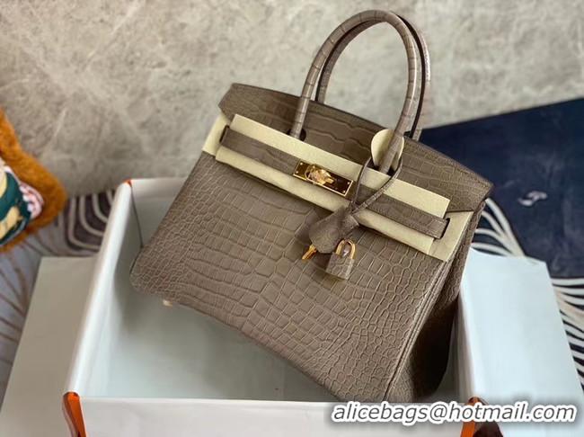 Charming Hermes Birkin Bag Original Leather crocodile HBK35 grey