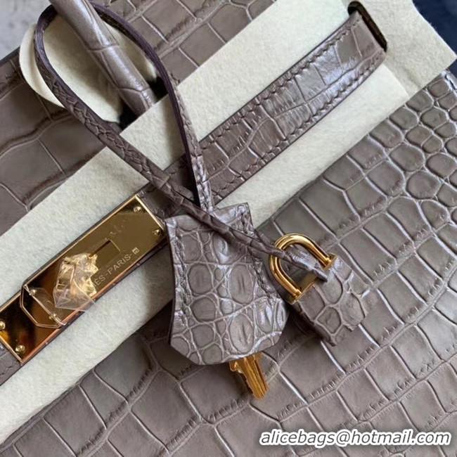 Charming Hermes Birkin Bag Original Leather crocodile HBK35 grey