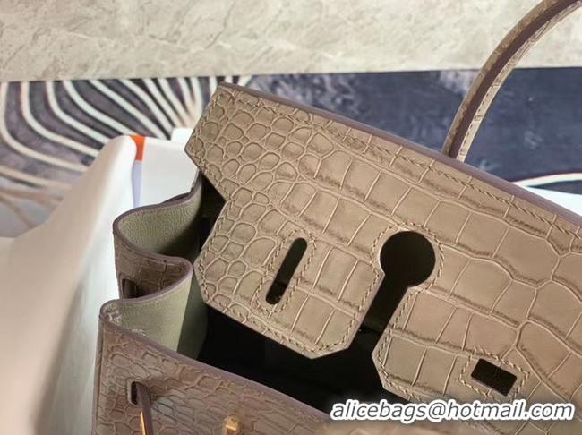 Charming Hermes Birkin Bag Original Leather crocodile HBK35 grey