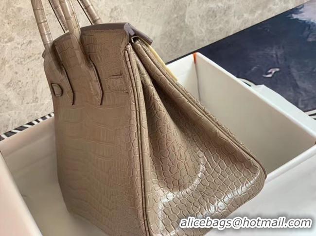 Charming Hermes Birkin Bag Original Leather crocodile HBK35 grey