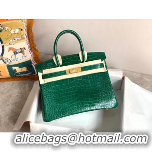 Popular Style Hermes Birkin Bag Original Leather crocodile HBK35 Green