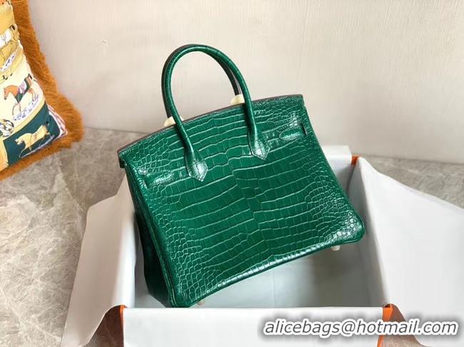 Popular Style Hermes Birkin Bag Original Leather crocodile HBK35 Green