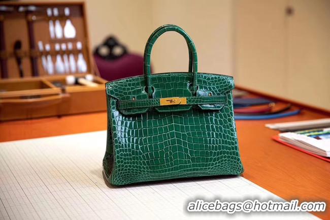 Popular Style Hermes Birkin Bag Original Leather crocodile HBK35 Green