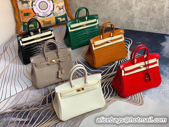 Popular Style Hermes Birkin Bag Original Leather crocodile HBK35 Green