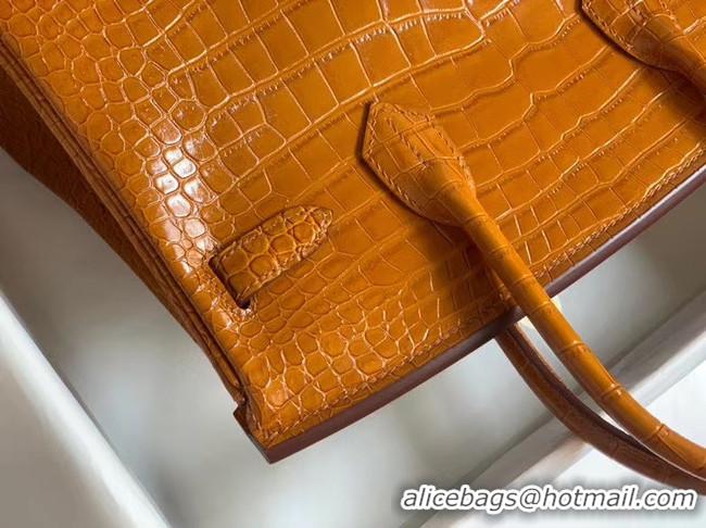 Best Product Hermes Birkin Bag Original Leather crocodile HBK35 brown