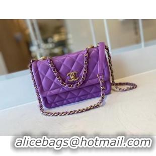 Popular Style Chanel flap bag Calfskin & Gold-Tone Metal AS2055 purple