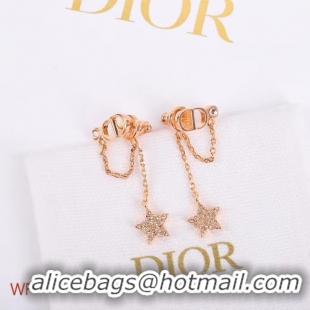 Hot Style Dior Earrings CE5155