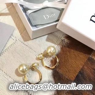 Discount Dior Earrings CE5183