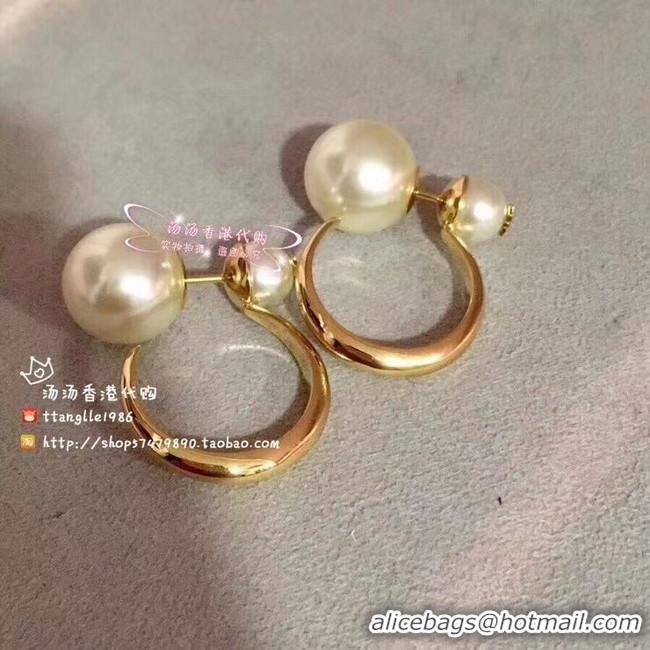 Discount Dior Earrings CE5183