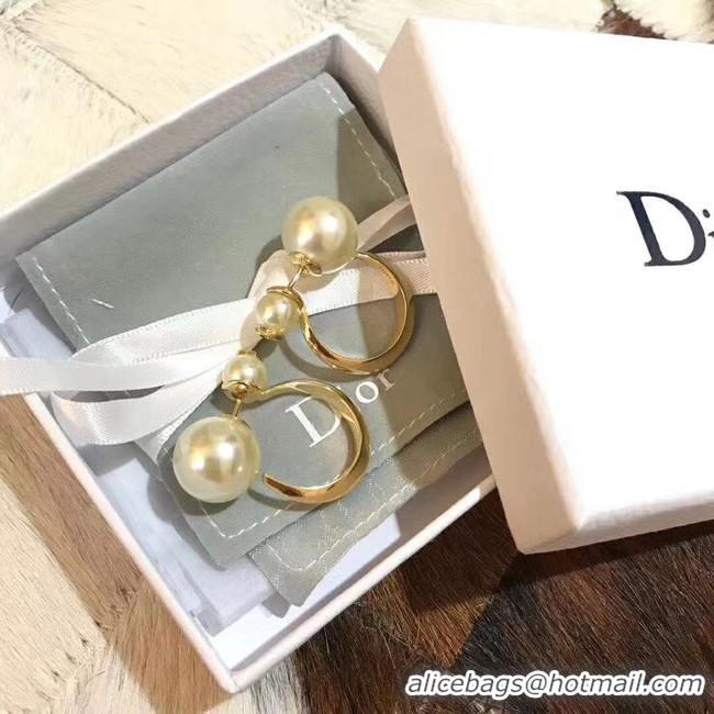 Discount Dior Earrings CE5183