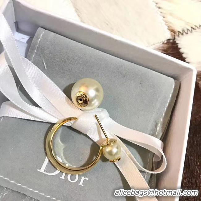 Discount Dior Earrings CE5183