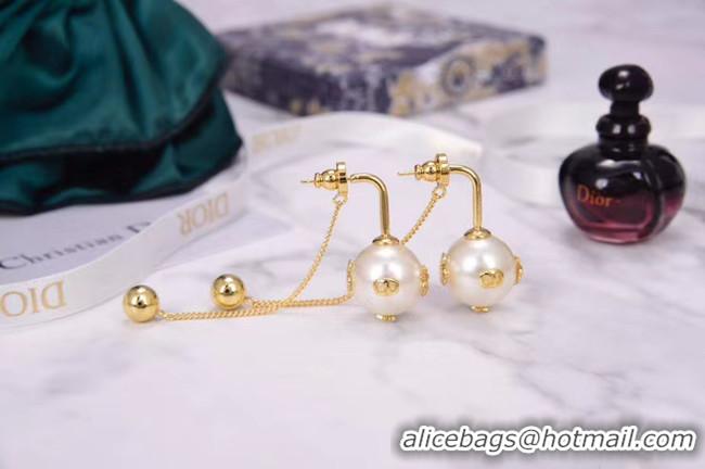 Perfect Dior Earrings CE5224