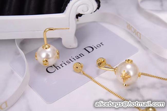 Perfect Dior Earrings CE5224