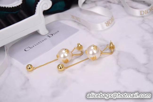 Perfect Dior Earrings CE5224