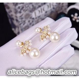 Good Quality Dior Earrings CE5229