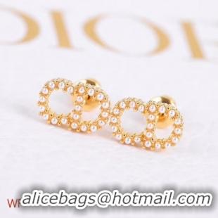 Top Quality Dior Earrings CE5242