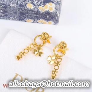 Top Quality Dior Earrings CE5252