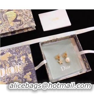 Best Luxury Dior Earrings CE5358